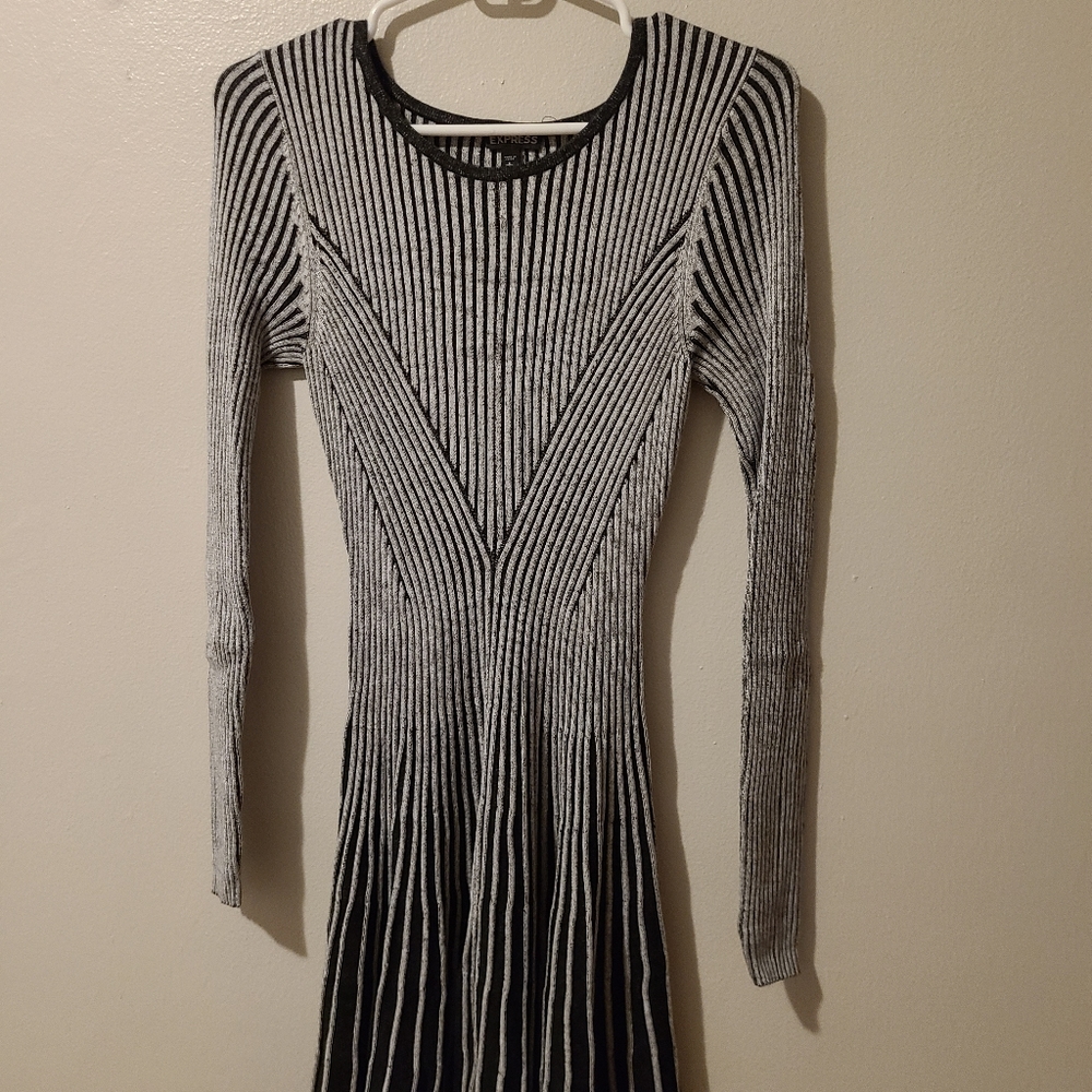 Express Sweater Dress